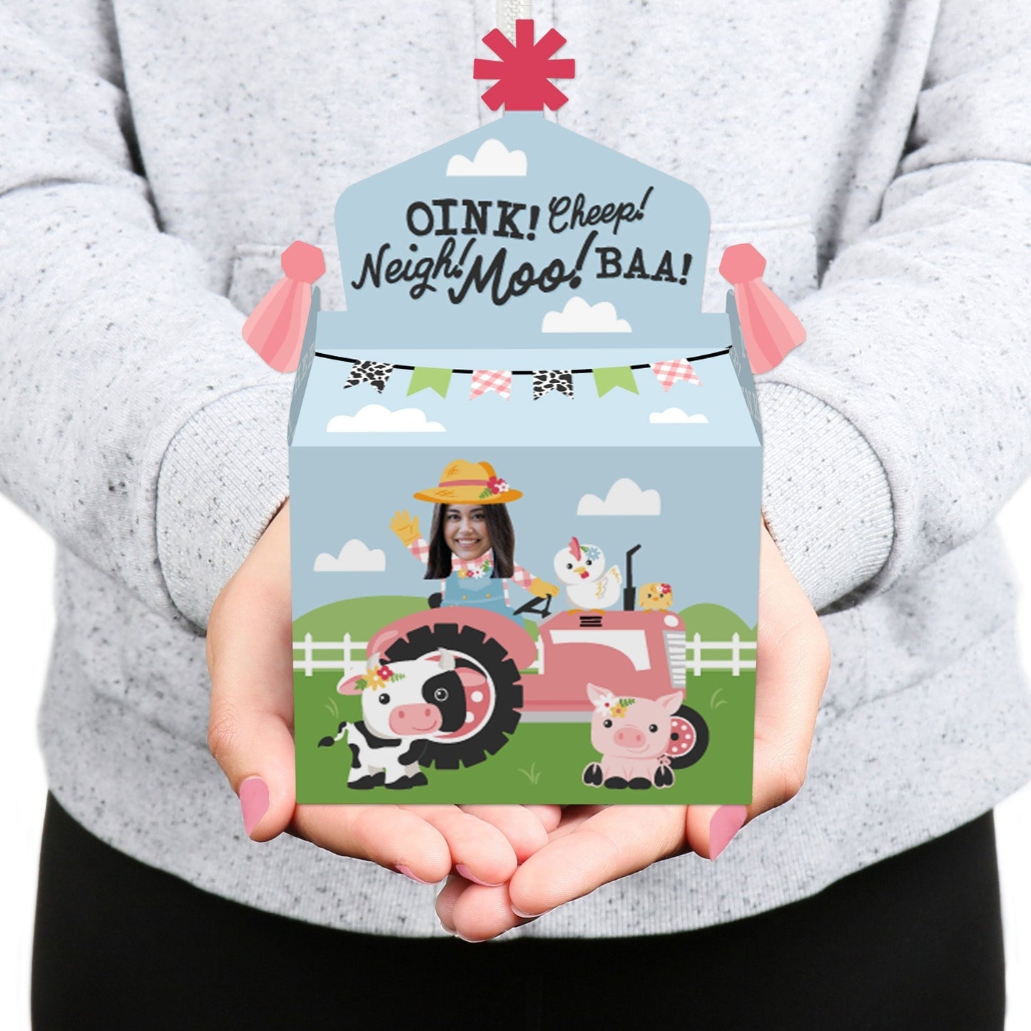 Custom Photo Girl Farm Animals - Pink Barnyard Birthday Treat Box Party Favors - Fun Face Goodie Gable Boxes - Set of 12