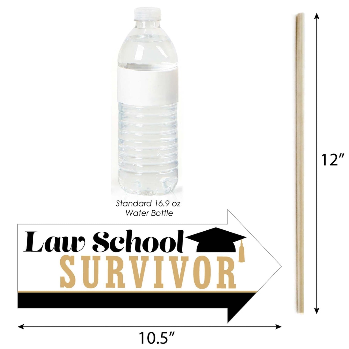 Funny Law School Grad - 10 Piece Future Lawyer Graduation Party Photo Booth Props Kit