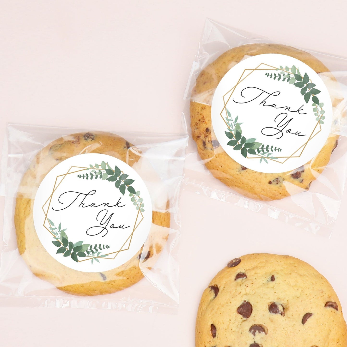 Boho Botanical Thank You Wedding Stickers & Clear Cookie Bags - 25 Ct