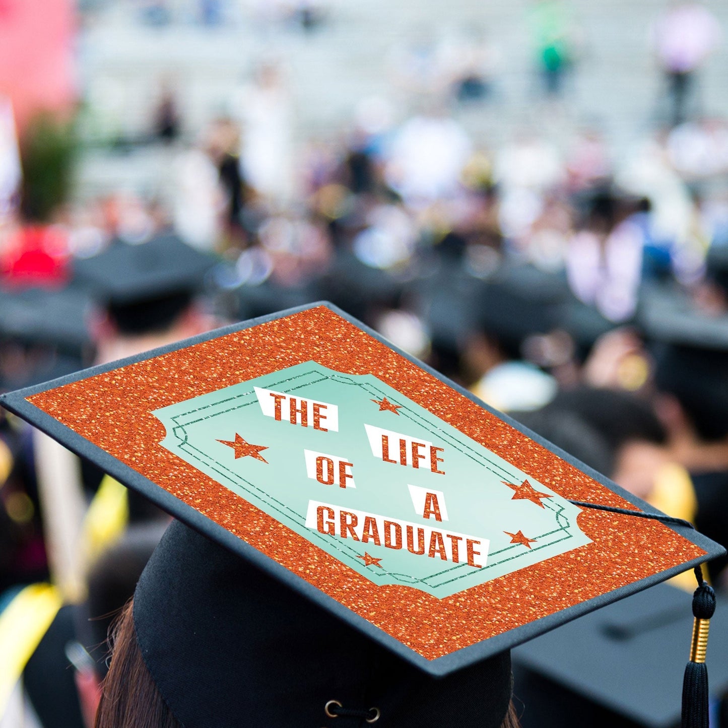 The Life of a Graduate Grad Cap Cover