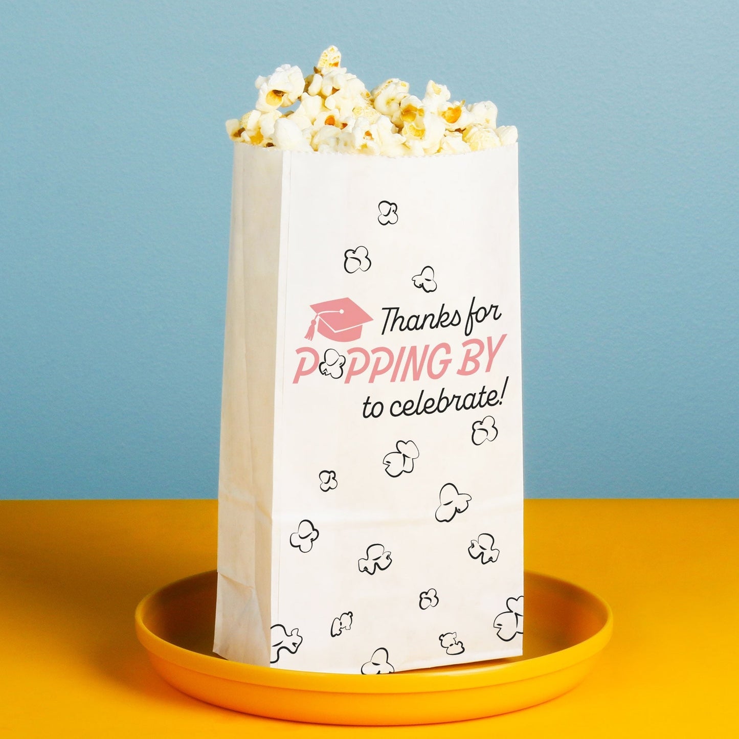 Popcorn Bags - Pink Grad - 25 Ct