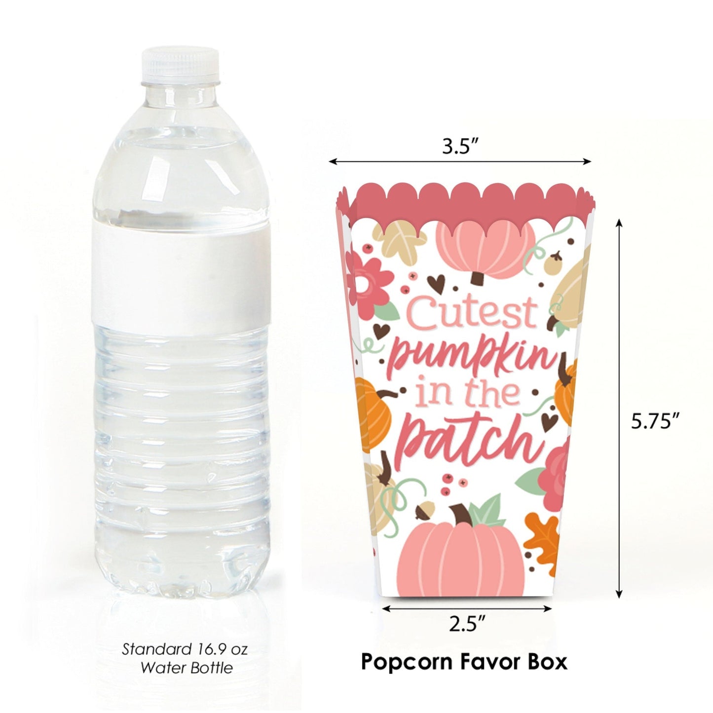 Girl Little Pumpkin - Fall Birthday Party or Baby Shower Favor Popcorn Treat Boxes - Set of 12