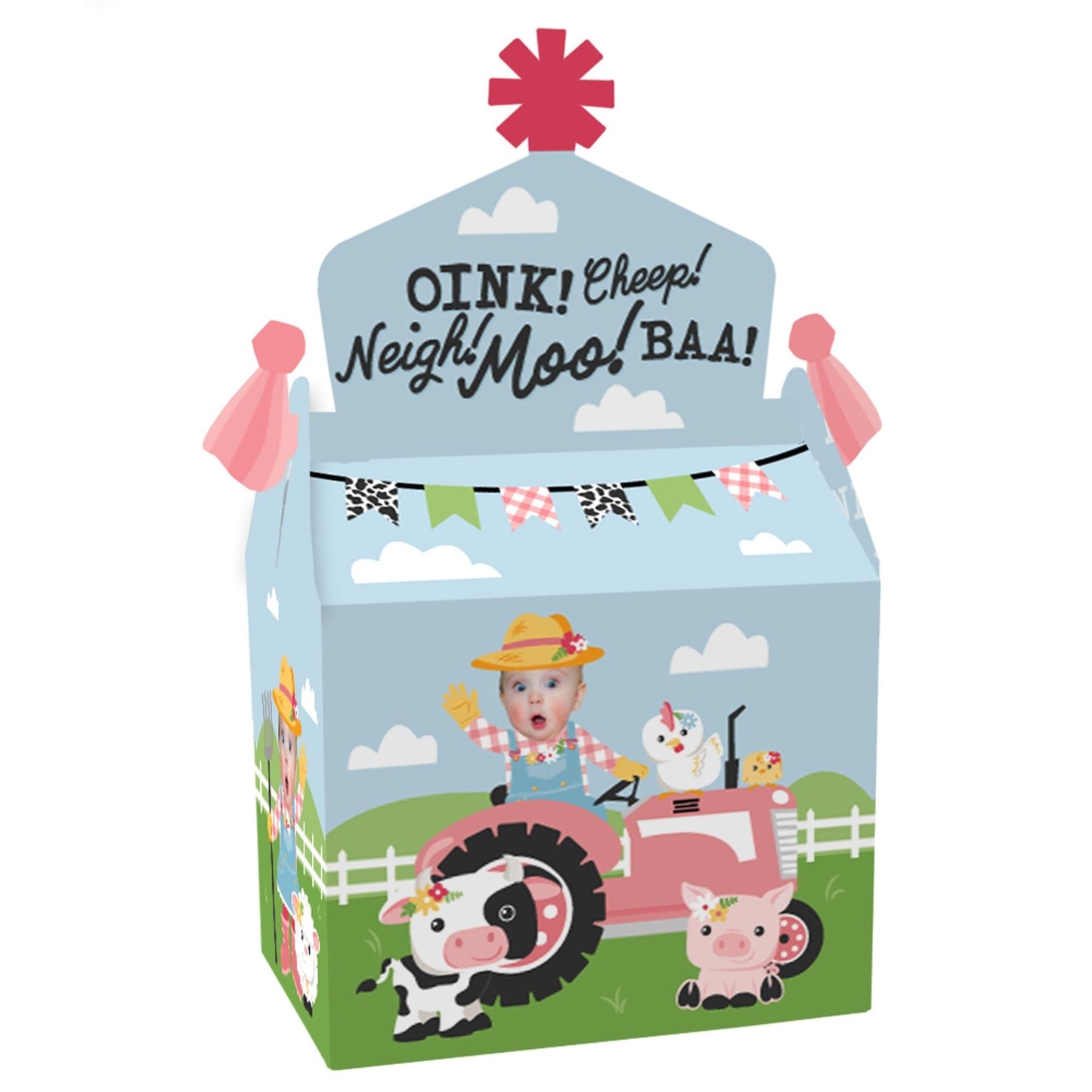 Custom Photo Girl Farm Animals - Pink Barnyard Birthday Treat Box Party Favors - Fun Face Goodie Gable Boxes - Set of 12
