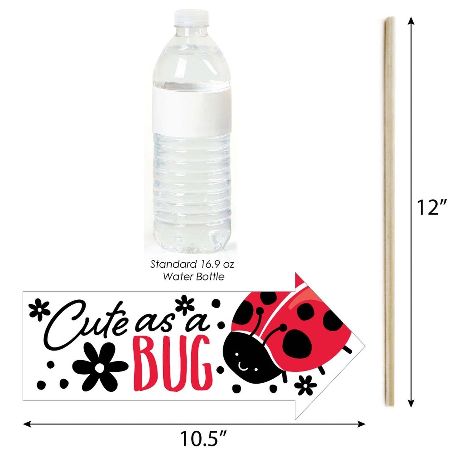 Funny Happy Little Ladybug - 10 Piece Baby Shower or Birthday Party Photo Booth Props Kit
