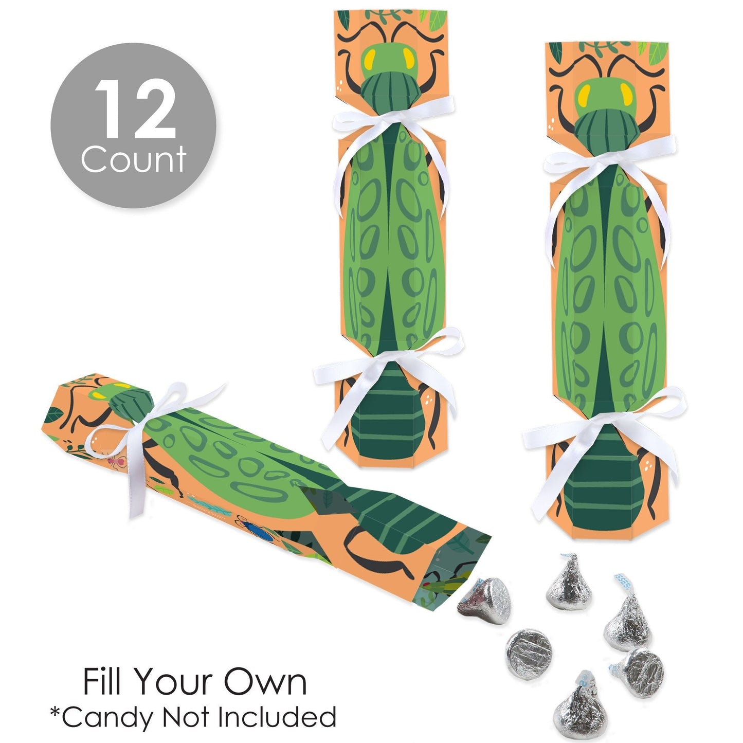 Buggin' Out - No Snap Bugs Birthday Party Table Favors - DIY Cracker Boxes - Set of 12