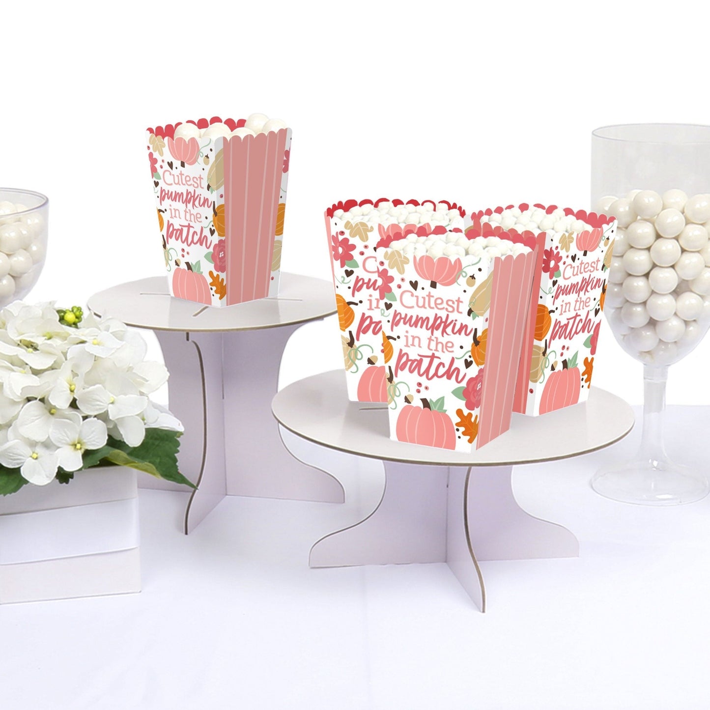 Girl Little Pumpkin - Fall Birthday Party or Baby Shower Favor Popcorn Treat Boxes - Set of 12