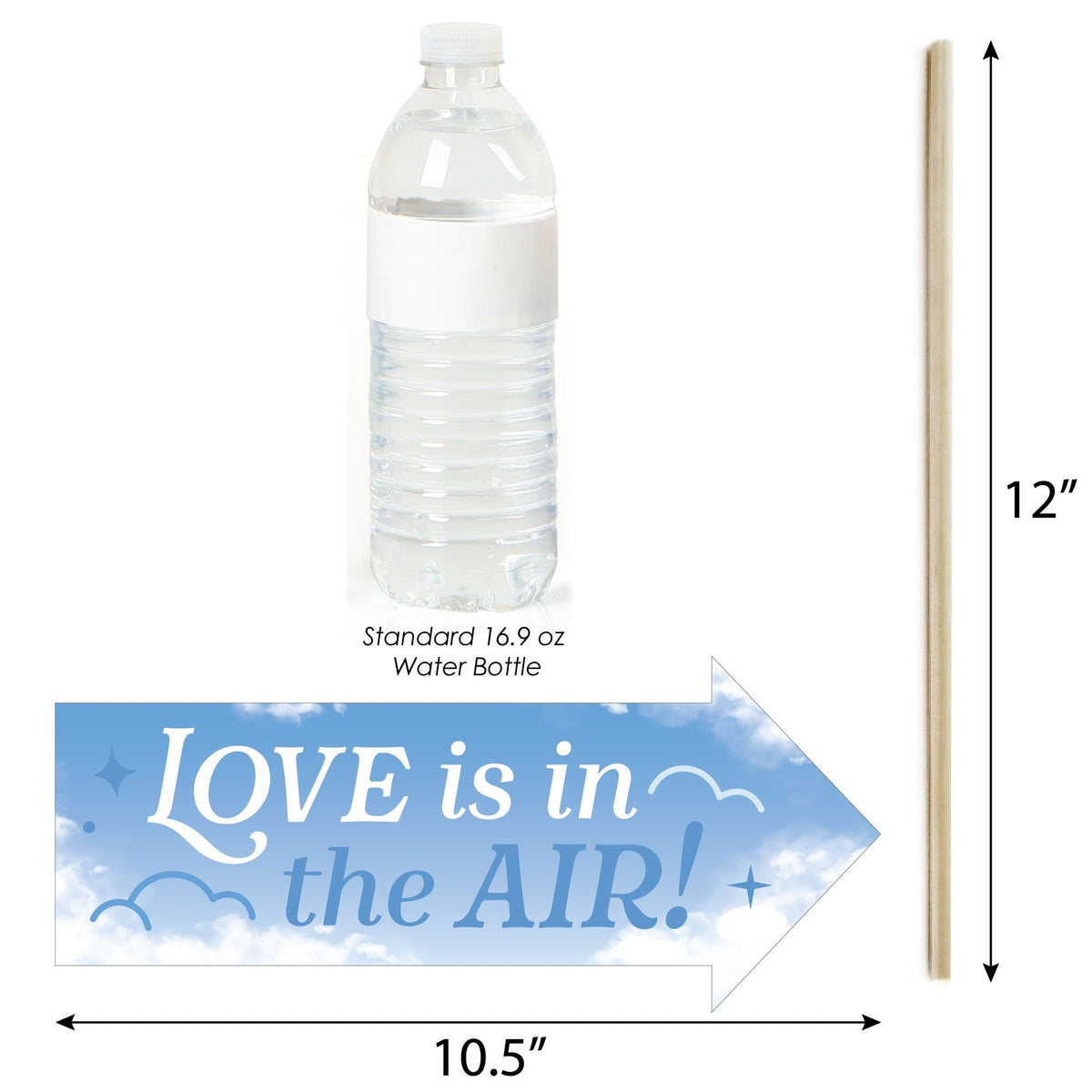 Funny On Cloud 9 - Bridal or Bachelorette Party Photo Booth Props Kit - 10 Piece