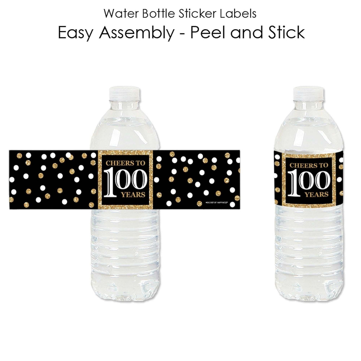 100th Birthday Party Water Bottle Sticker Labels - Set of 20