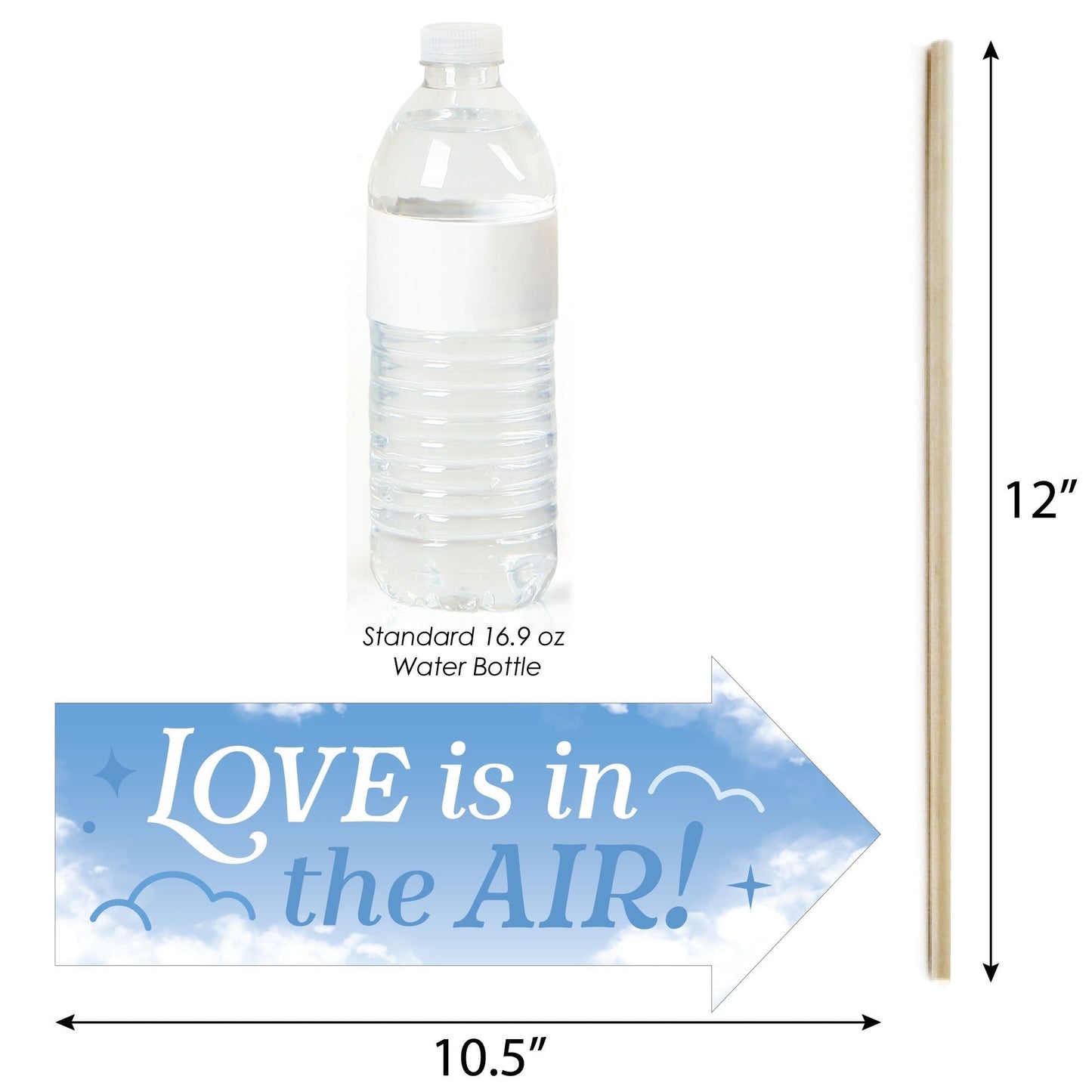 Funny On Cloud 9 - Bridal or Bachelorette Party Photo Booth Props Kit - 10 Piece