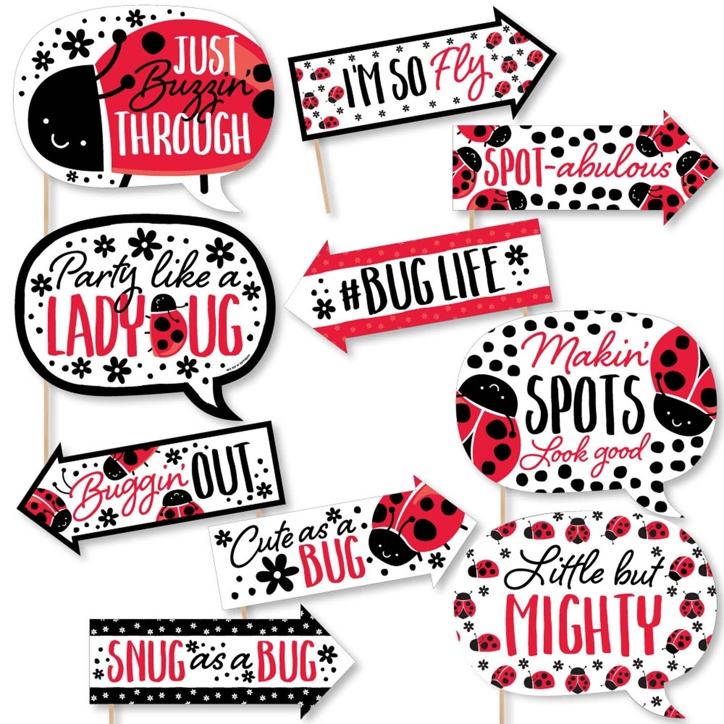 Funny Happy Little Ladybug - 10 Piece Baby Shower or Birthday Party Photo Booth Props Kit