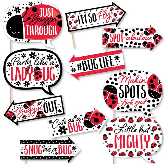 Funny Happy Little Ladybug - 10 Piece Baby Shower or Birthday Party Photo Booth Props Kit