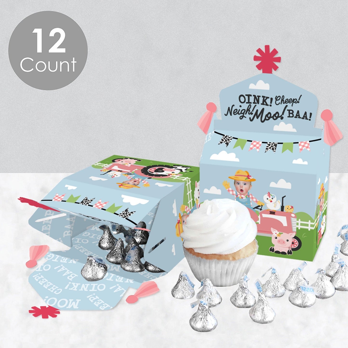 Custom Photo Girl Farm Animals - Pink Barnyard Birthday Treat Box Party Favors - Fun Face Goodie Gable Boxes - Set of 12