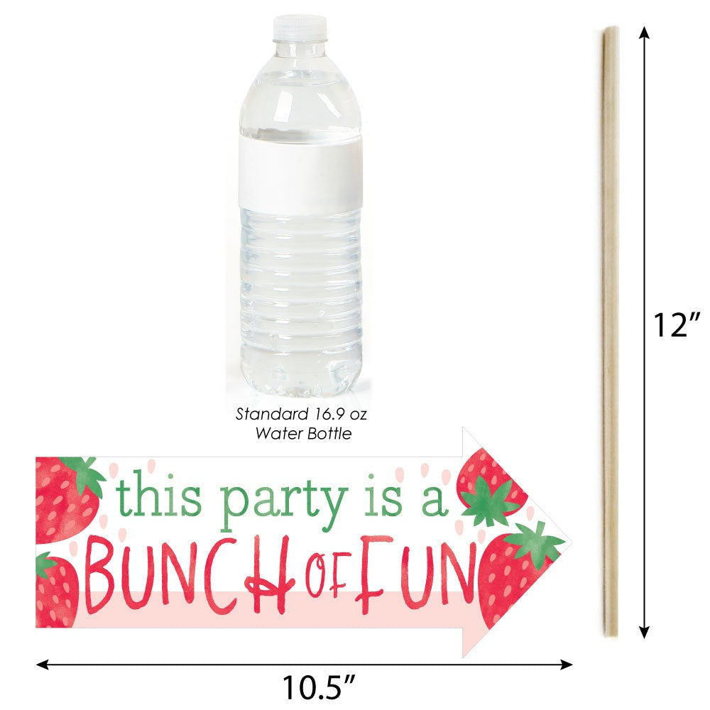 Funny Berry Sweet Strawberry - Fruit Themed Birthday Party or Baby Shower Photo Booth Props Kit - 10 Piece